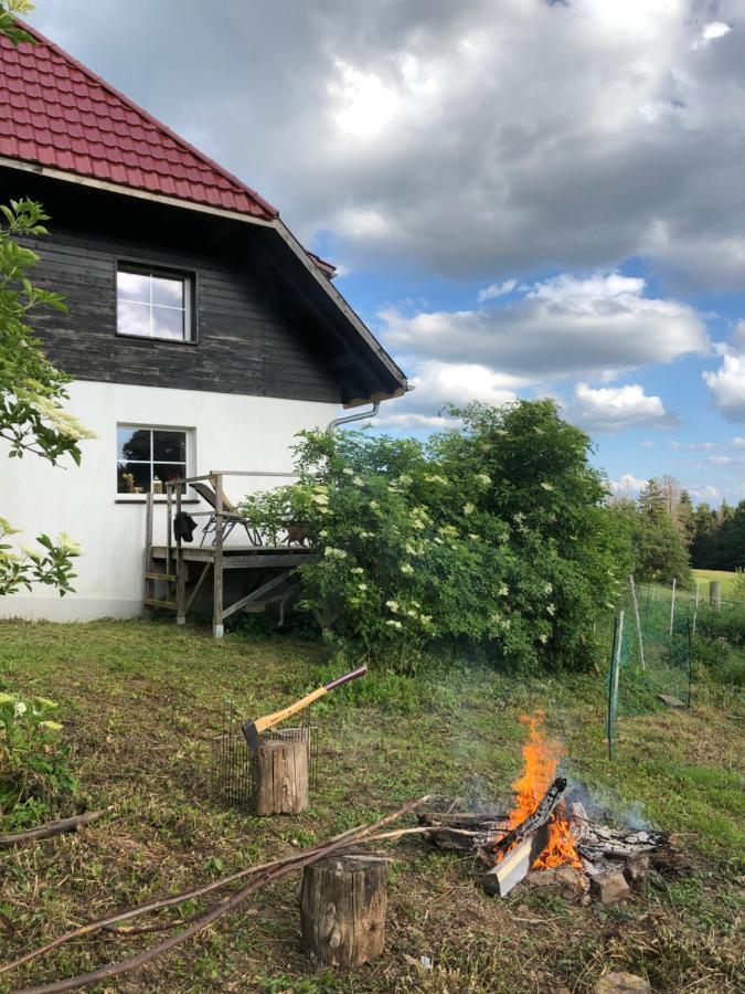 Apartamento Pfaffensteghof Rickenbach  Exterior foto